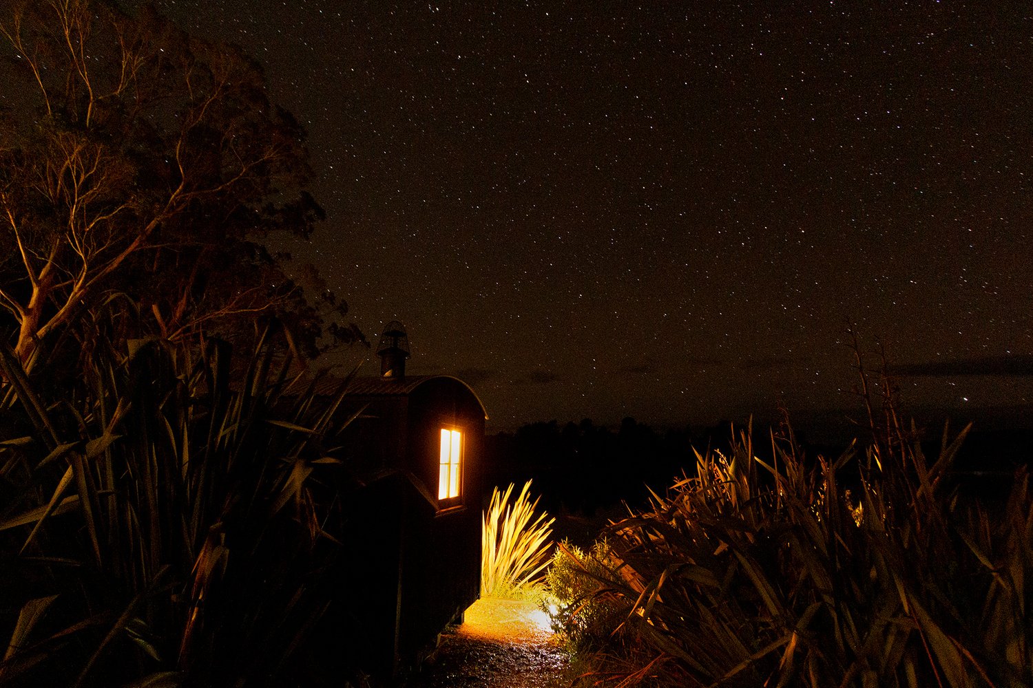 Exterior view of The Bird Hide BnB Waikouaiti Dunedin - luxury accommodation with scenic views